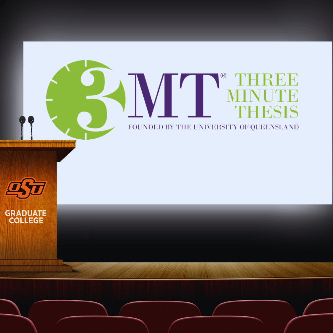 3MT Picture
