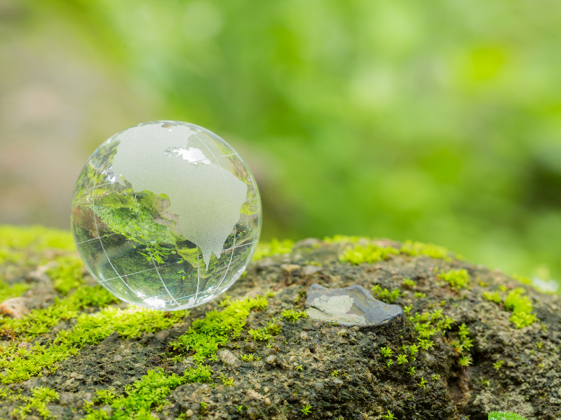 environmental.png environmental