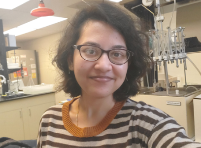 This is alt text for the image