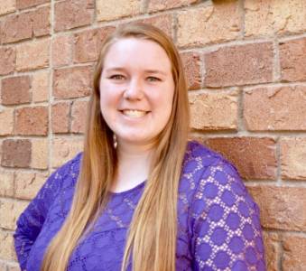 This is alt text for the image