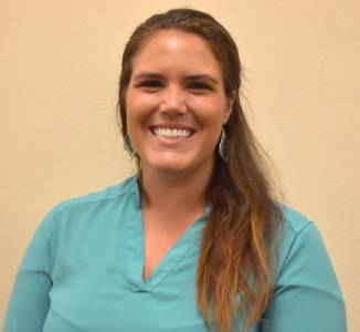 This is alt text for the image